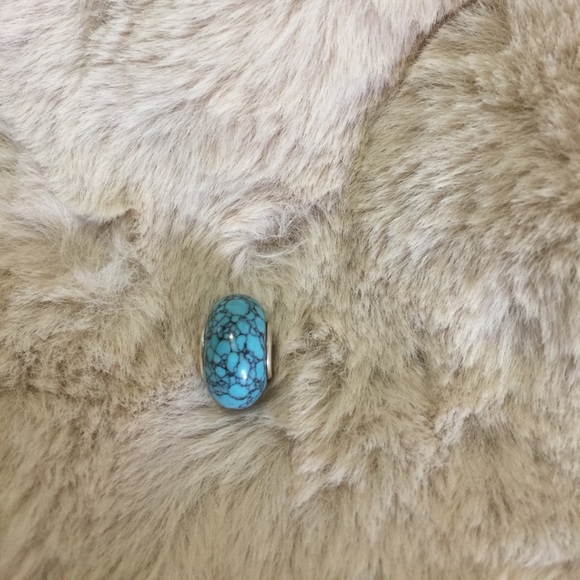 🌷European Charm Beads - Picture 8 of 8